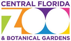 Orlando summer camps