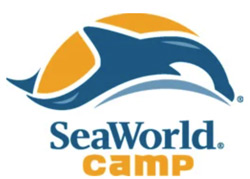 Orlando summer camps